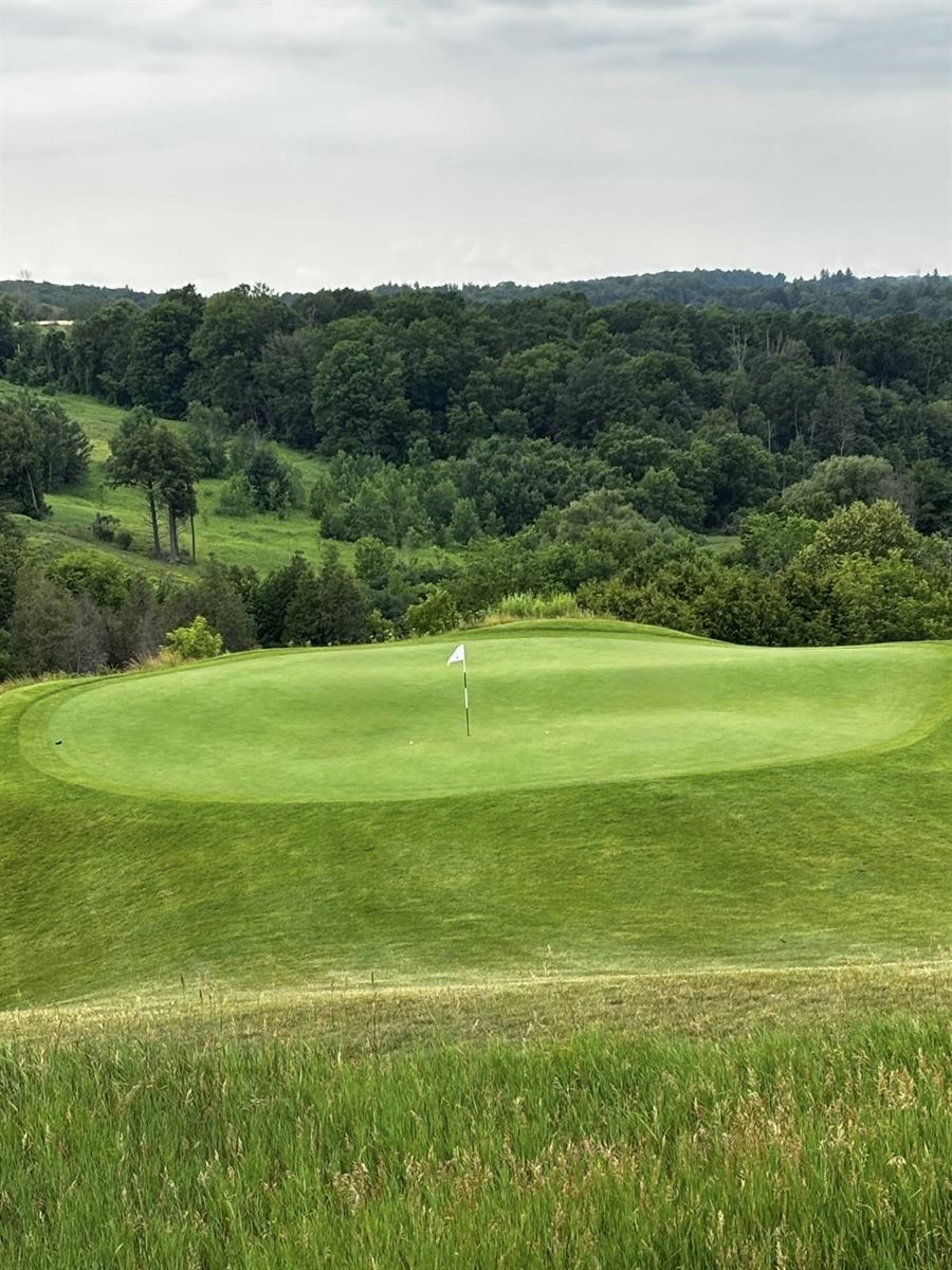 A green with the flag, on one of the Ontario courses the association plays